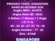 Prediksi Togel Singapore