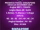 Prediksi Togel Singapore