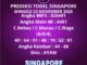 Prediksi Togel Singapore